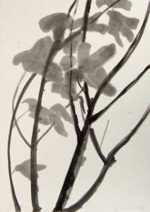 ANITA VOIGT "Feige im Herbst"