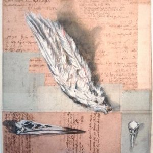 Die Arbeit "Flattern" aus dem Katalog des Grafikers und Künstlers Anton Paul Kammerer (1954-2021).