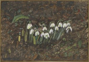 C. SCHUSTER-KAISER „Im Reich der Flora“