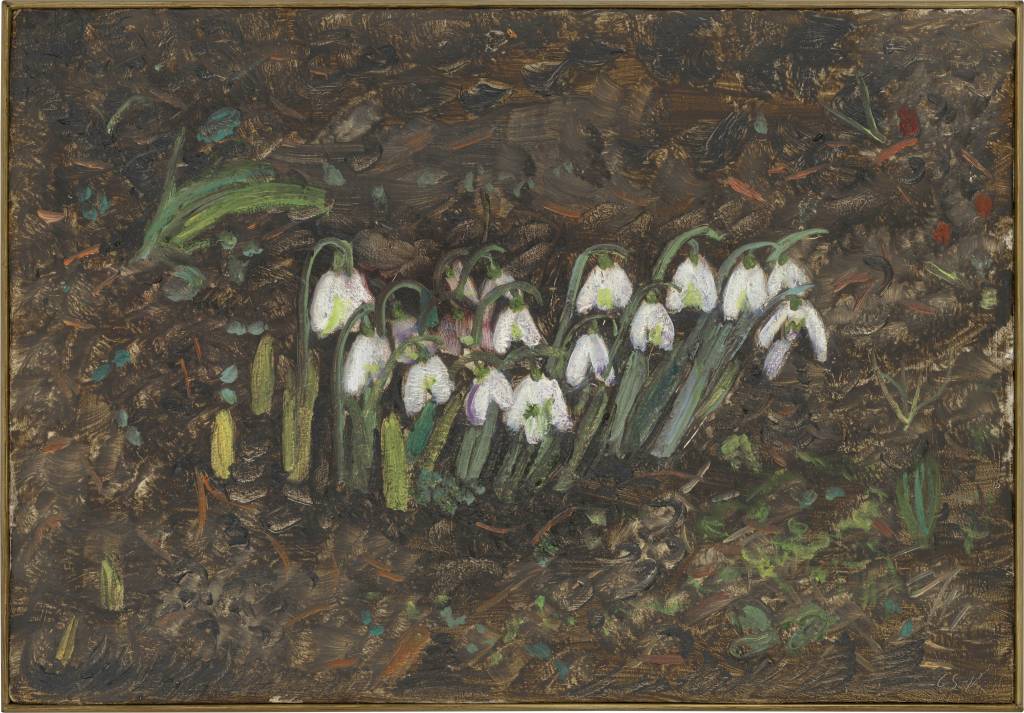 CORNELIA SCHUSTER-KAISER 