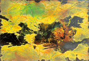 EVELINE JAHN "Im Reich der Flora"