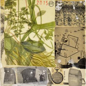 FRANK VOIGT aus der Serie: "Herbarium (2)"