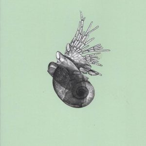 Katalogtitel "Grotesken" der Künstlerin Gudrun Brückel