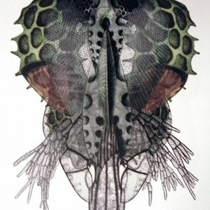 "Blatt LXVIII" des Bildzykluses "Grotesken" der Künstlerin Gudrun Brückel