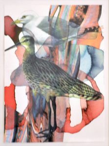 GUDRUN BRÜCKEL "Teichhuhn"