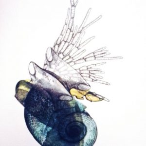 "Blatt IV" des Bildzykluses "Grotesken" der Künstlerin Gudrun Brückel