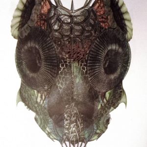 "Blatt XLIX" des Bildzykluses "Grotesken" der Künstlerin Gudrun Brückel