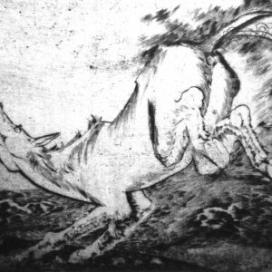 Kohlezeichnung "Ausschlagendes Pferd" des Künstlers Hans Grundig (1901-1958)