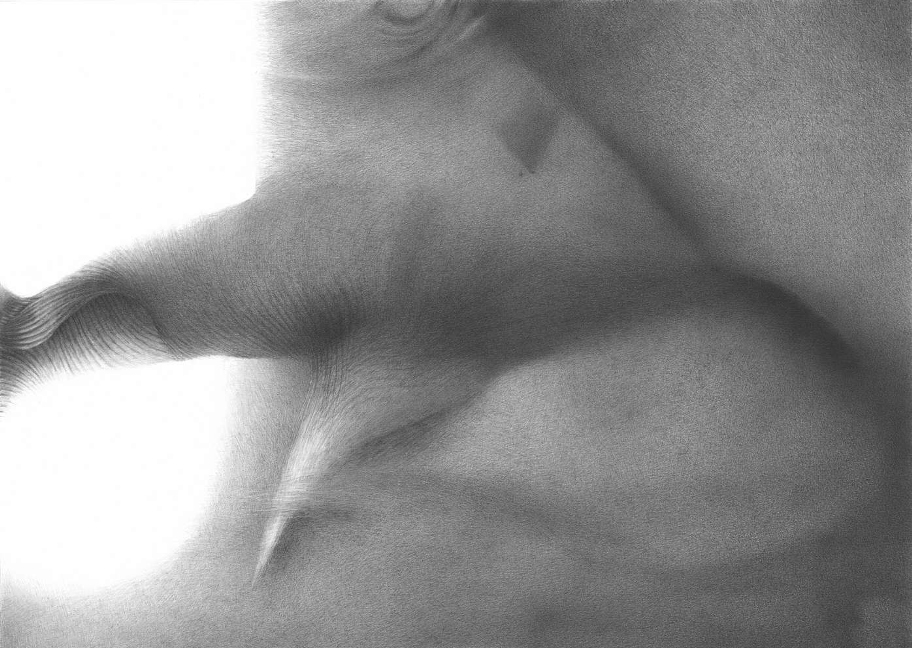 Arbeit des Grafikers Marek Pokutycki Rysunek