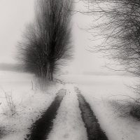 STEFFEN LIPSKI "Meine schwarzen Augen" Fotografie "Meine schwarzen Augen" des Fotografen Steffen Lipski